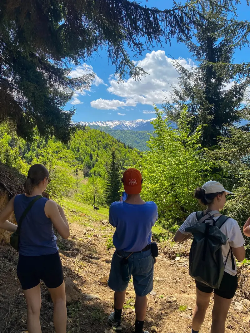 Guided hike to the alpine meadow